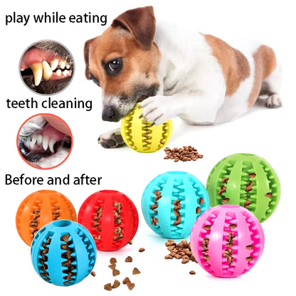 Natural Rubber Interactive Dog Chew Toy - Extra-Tough Tooth Cleaning Treat Ball (5cm)